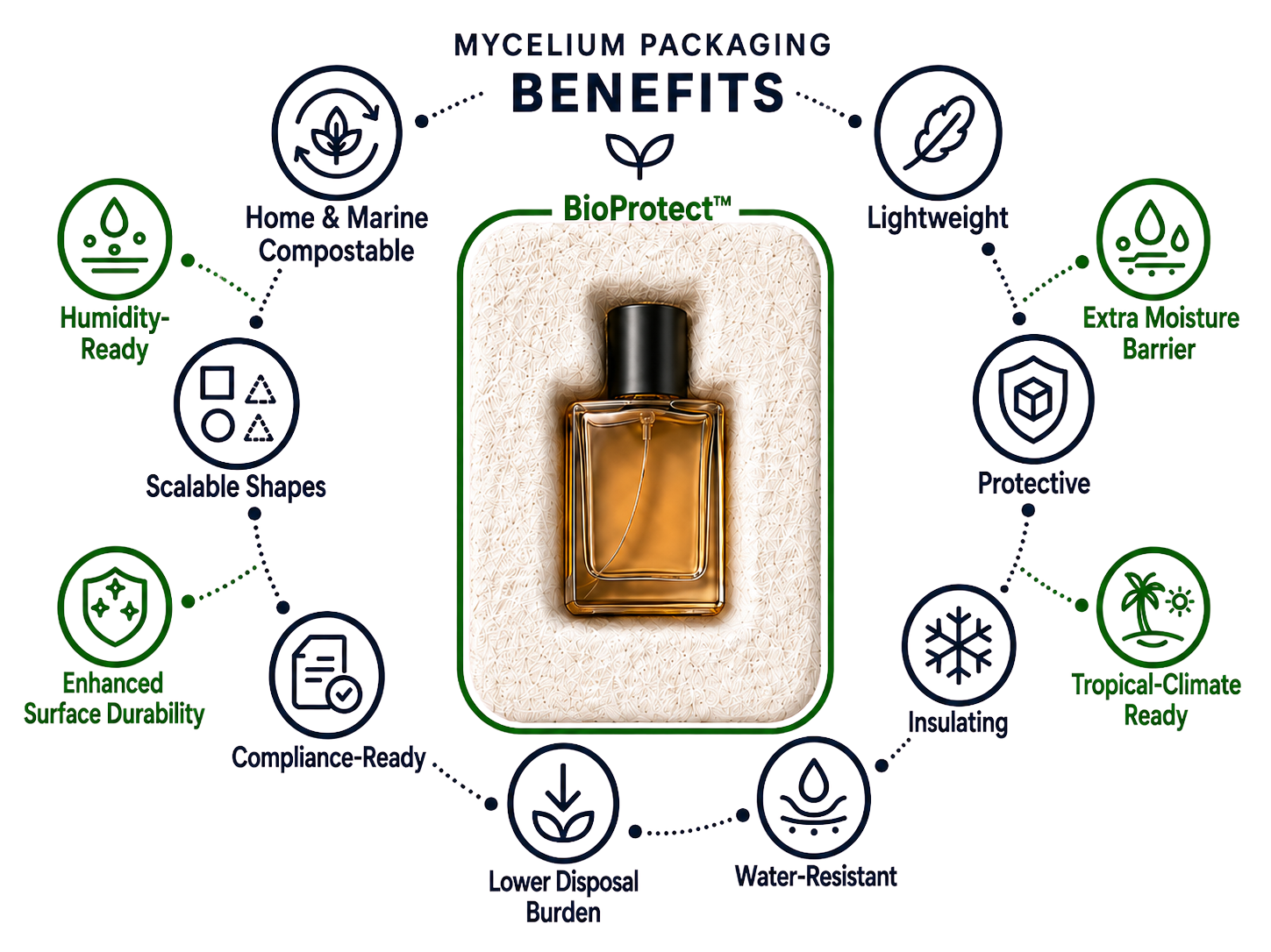 Mycelium packaging benefits diagram